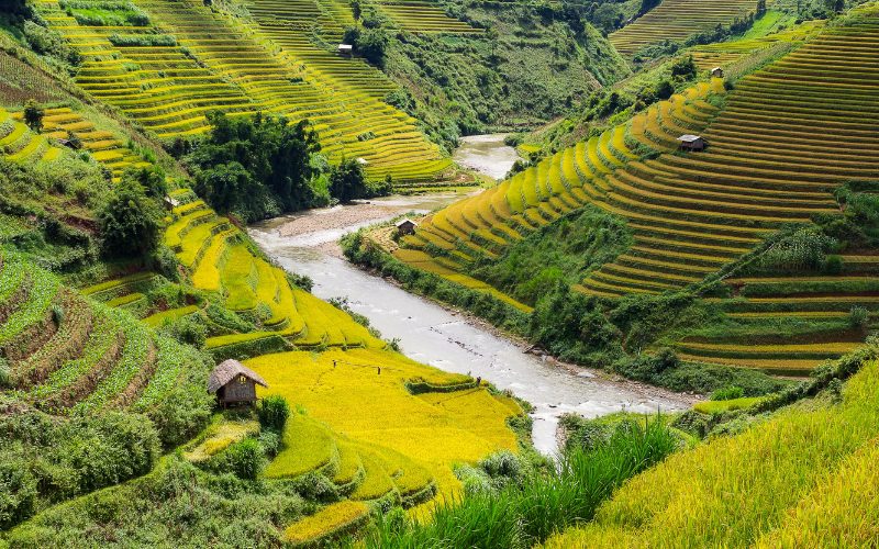 Circuit des paysages épiques du Nord-Ouest Vietnam en 7 jours