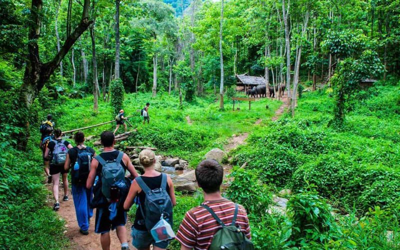 Randonnée à Chiang Mai et Chiang Dao en 4 Jours