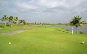 Vue d’un départ de golf entouré de palmiers et bordé par un lac, avec un ciel légèrement nuageux et des fairways verdoyants s’étendant au loin