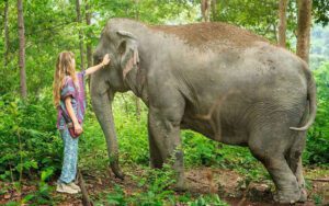 Aventure Familiale en Thaïlande à Chiang Mai en 7 Jours