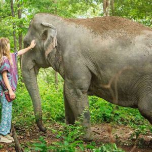 Aventure Familiale en Thaïlande : Chiang Mai en 7 Jours