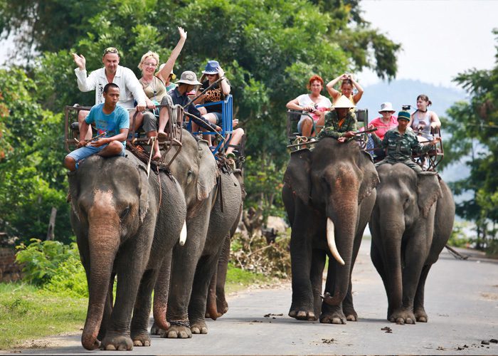 Balade à dos d'éléphant à Buon Ma Thuot