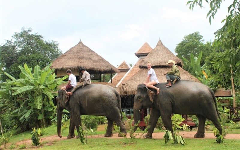 Balade à dos d'éléphant - Nam Khan - Laos