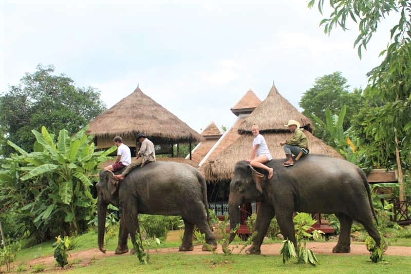 Balade à dos d'éléphant - Nam Khan - Laos