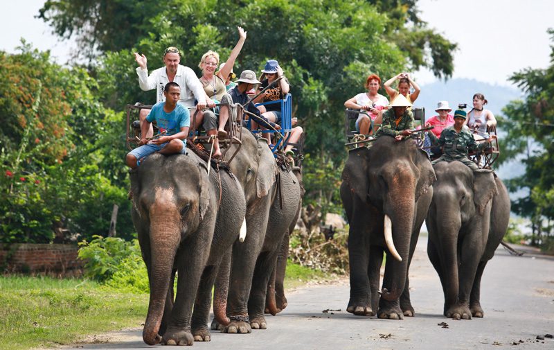 Balade à dos d'éléphant- Buon Ma Thuot