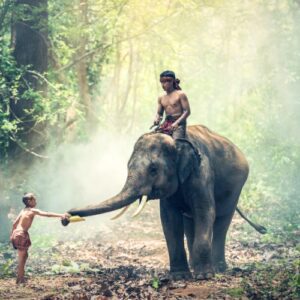 Exploration des merveilles du Vietnam Cambodge en 13 jours