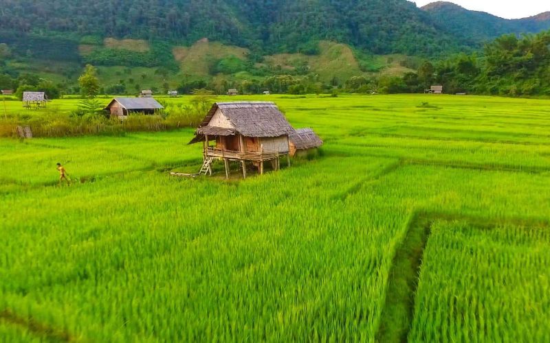 Circuit authentique au Laos en 12 jours