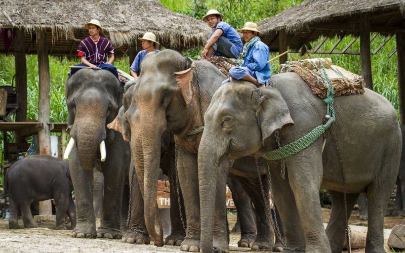 Chiang Mai et le Nord-Ouest Thaïlande mystique en 6 jours