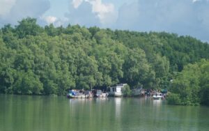 Can Gio Mangrove