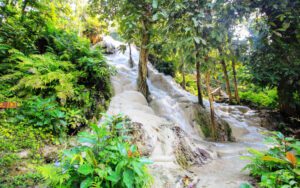 Cascades collantes au parc national de Bua Tong - Chiang Mai
