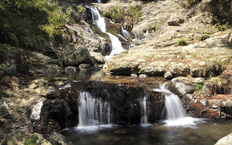 Cascade naturelle dévalant sur des rochers au cœur d’un paysage forestier, formant de petits bassins paisibles entourés de végétation