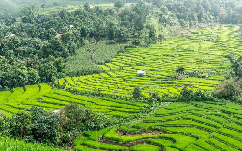 Aventure Nord Thaïlande : Pai et Chiang Mai en 8 jours