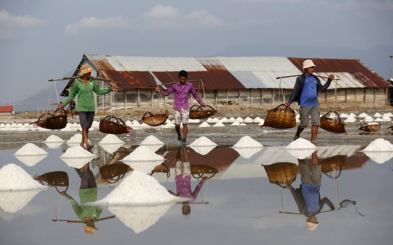 Travailleurs récoltant du sel dans les salines de Kampot, au Cambodge, transportant des paniers en osier sur leurs épaules entre des monticules de sel blan