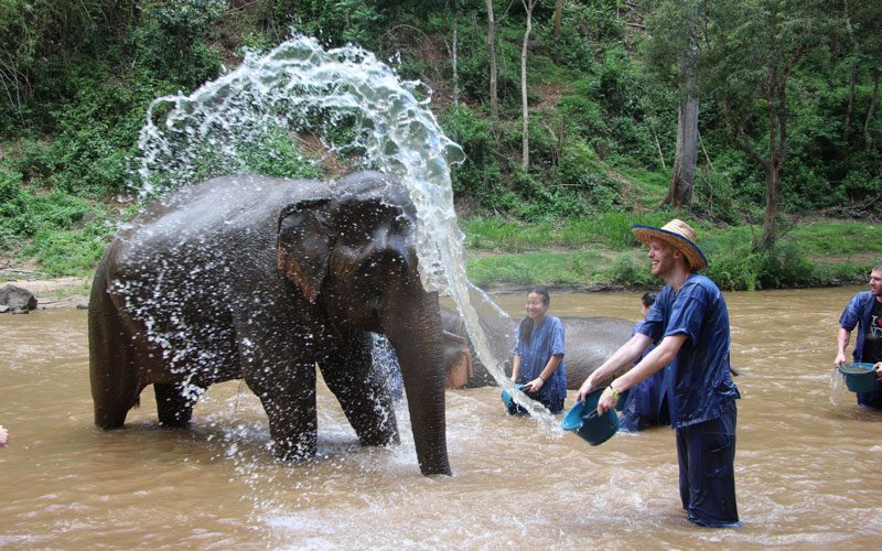 Chiang Mai - Rencontrer des éléphants