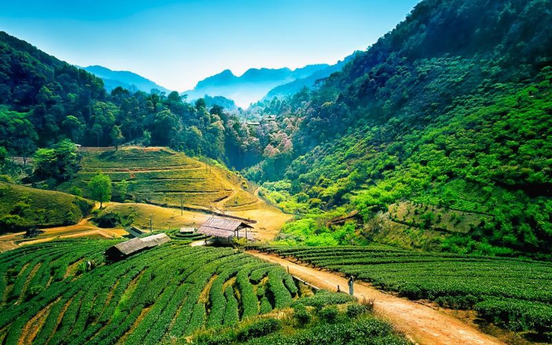 Meilleur de la Nature à Chiang Mai en 6 Jours