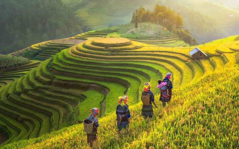 Voyage dans le Nord Vietnam : De Hanoï à Sapa en 12 jours