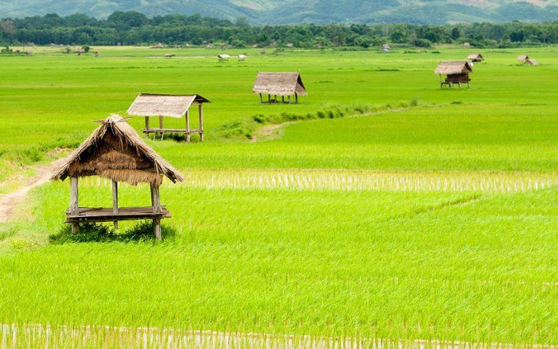 Aventure inoubliable au Nord Laos en 5 jours