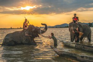 Exploration des Hauts Plateaux Centre du Vietnam en 7 jours