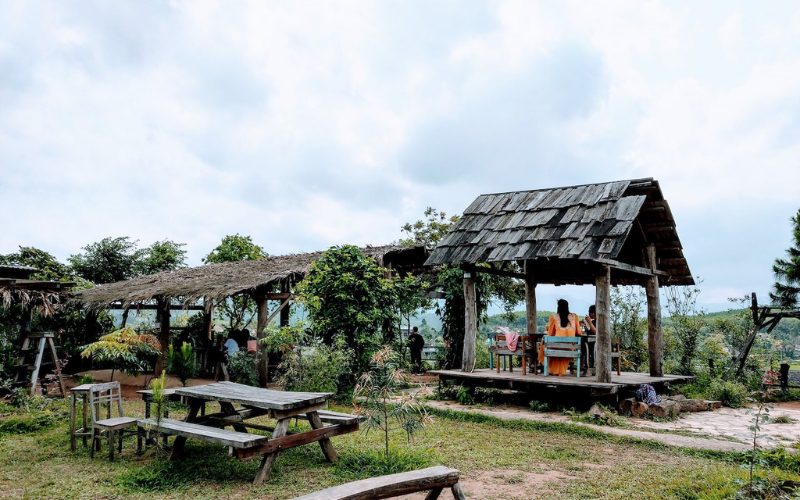 Espace de détente en plein air à Phong Nha, avec des tables en bois rustiques, des tonnelles en chaume et des visiteurs profitant de la vue sur la campagne environnante