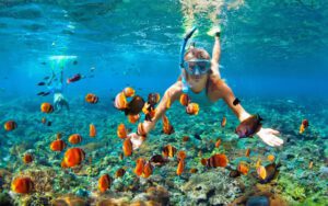 Excursion d'une journée de plongée en apnée et pêche à Phu Quoc