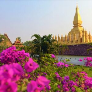 Exploration d'un Laos merveilleux en 12 Jours