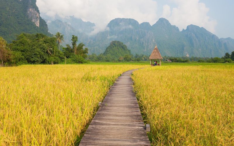 Immersion au cœur du Laos en 5 jours