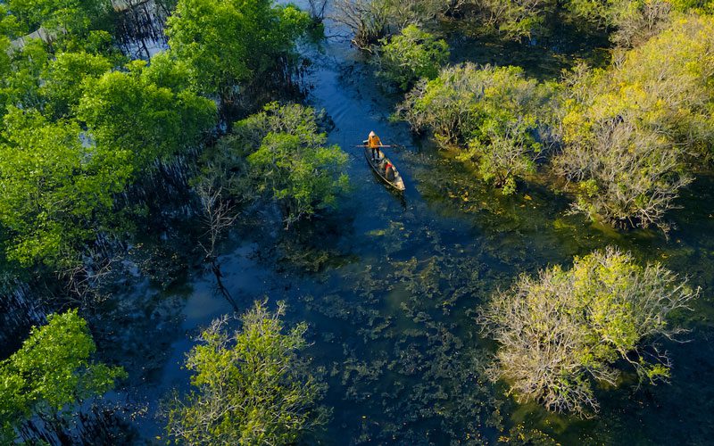 Forêt de mangroves de Ru Cha