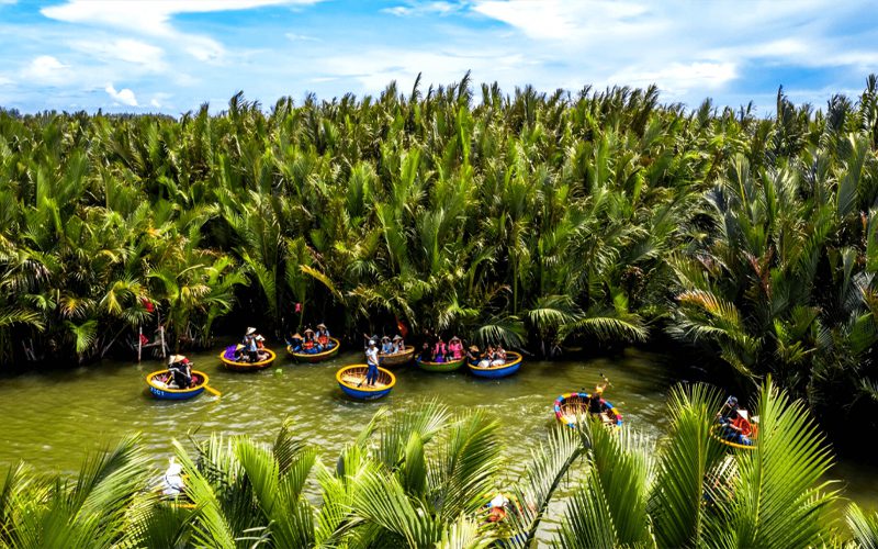 Forêt des cocotiers d’eau de Bay Mau