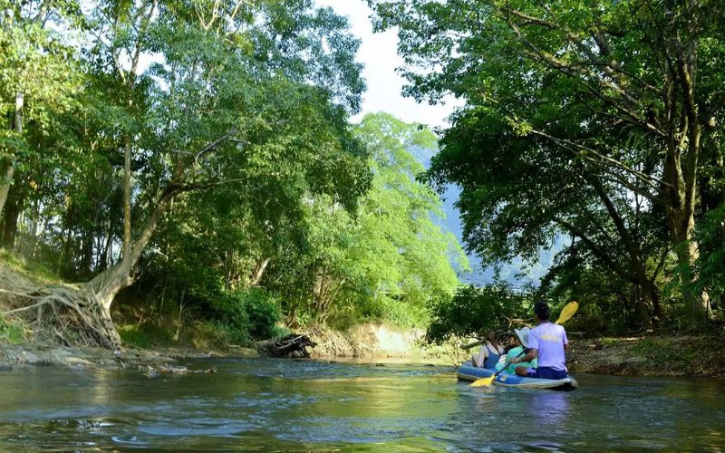 Deux personnes en kayak pagayant sur la rivière Sok, entourées d'une dense forêt tropicale et de montagnes en arrière-plan, sous une lumière douce et naturelle