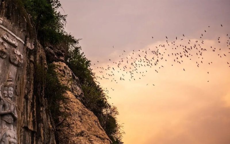 Vol de chauves-souris quittant la grotte de Phnom Sampov au crépuscule, avec des sculptures bouddhiques gravées dans la falaise et un ciel orangé en arrière-plan