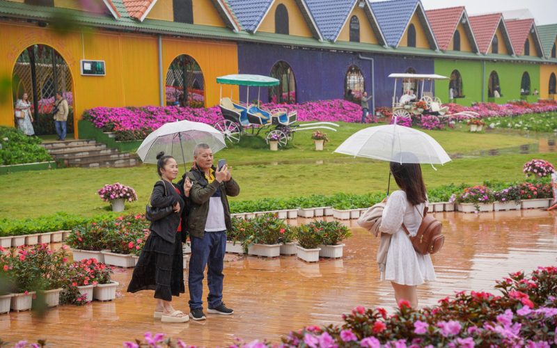 Visiteurs sous des parapluies prenant des photos dans un jardin fleuri, devant des maisons colorées après la pluie au Vietnam