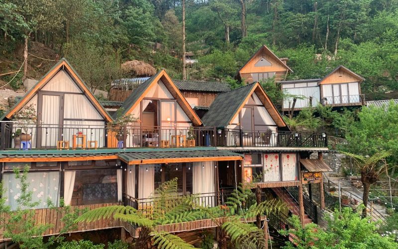 Photo de charmants bungalows en bois nichés sur une colline verdoyante à Mai Chau, entourés d’arbres tropicaux et de fougères, offrant une atmosphère paisible et naturelle idéale pour un séjour détente en montagne