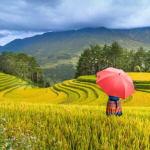 Incontournables de 17 jours au Vietnam et Cambodge