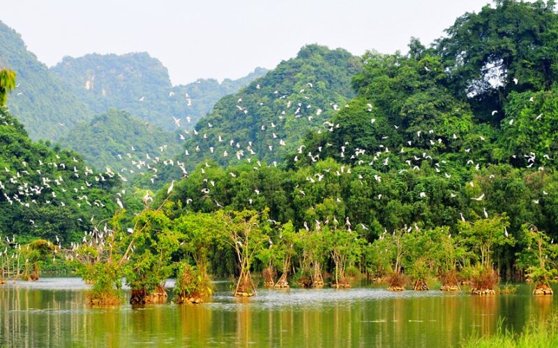 jardin des oiseaux de Thung Nham