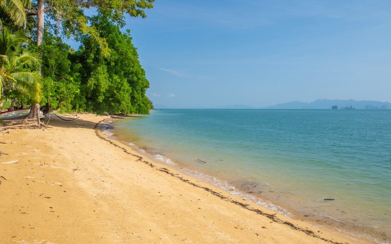 Plage de sable doré bordée de palmiers et de forêt tropicale sur une île paisible en Thaïlande, avec vue sur la mer turquoise et des îles au loin sous un ciel bleu clair