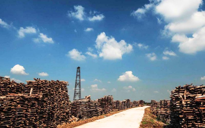 Les piles de bois utilisées pour la cuisson des poteries sont alignées de part et d'autre de la route du village