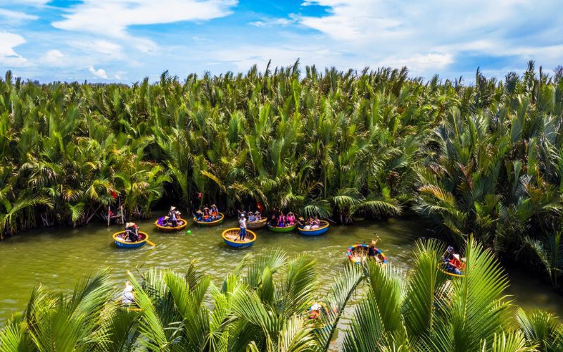 La jungle de cocotiers à Ben Tre offre une expérience immersive dans la nature avec des rangées interminables de cocotiers qui s'élèvent vers le ciel.