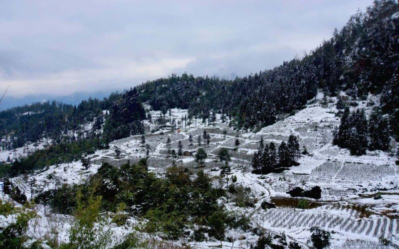 Paysage hivernal à Sapa, avec des rizières en terrasses et des collines recouvertes de neige, créant une atmosphère paisible et spectaculaire en montagne