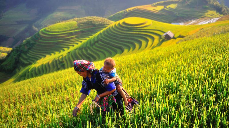 Magnifiques paysages du Vietnam en 25 jours