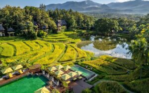 Nord Thaïlande : Chiang Mai et Chiang Rai en 5 jours