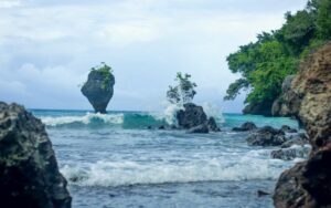 Plages magnifiques à Tutuala