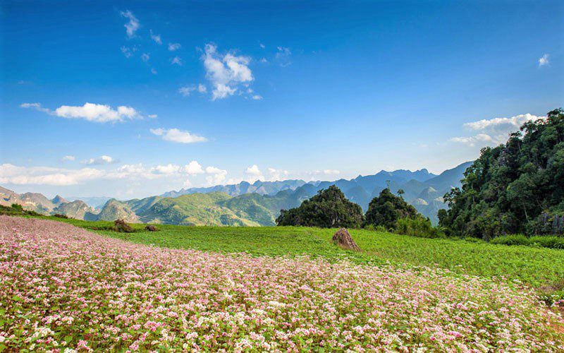 Panorama incroyable de Ha Giang 4 Jours