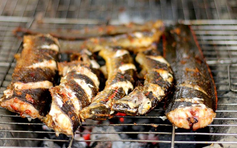 Poissons grillés au feu de bois sur un grill traditionnel à Ha Giang. Leur peau dorée et croustillante révèle une cuisson rustique, typique de la cuisine montagnarde du nord du Vietnam