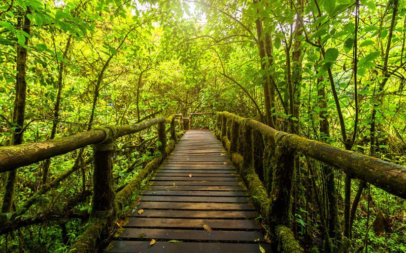 Parc national de Doi Inthanon
