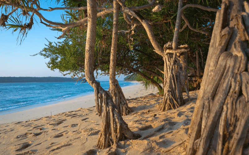 plage de Valu (timor oriental)