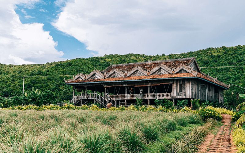 Maison traditionnelle khmère en bois au cœur d'une plantation verdoyante, entourée de collines luxuriantes sous un ciel partiellement nuageux, typique de la région de Kampot