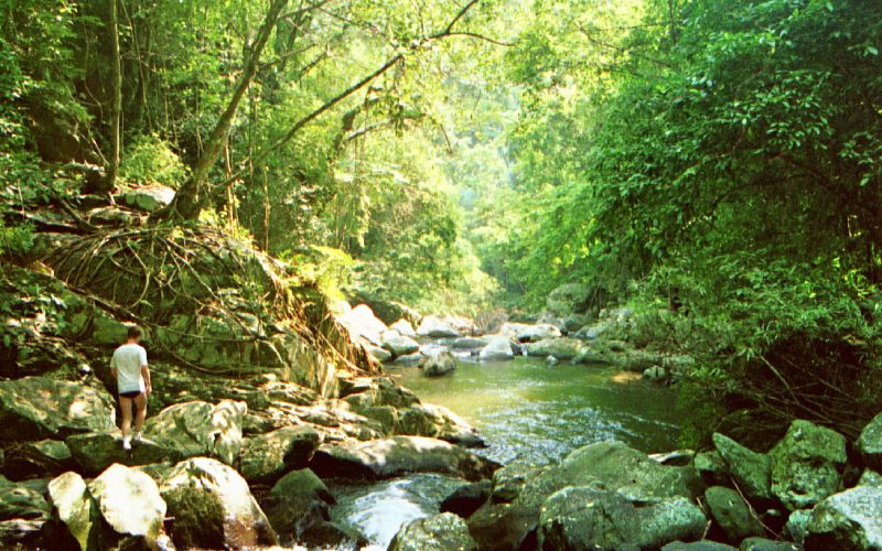 Parc national de Kaeng Krachan