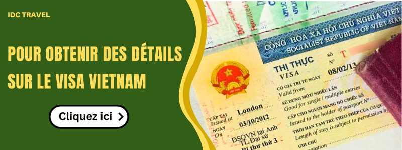 Pour obtenir des détails sur le visa Vietnam.jpg