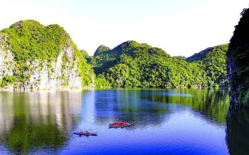 parc national de Cat Ba