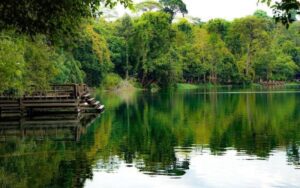 Vue paisible d’un lac entouré d’une forêt dense, avec un ponton en bois sur la gauche. Les arbres luxuriants se reflètent parfaitement dans l’eau calme, créant une atmosphère sereine et naturelle